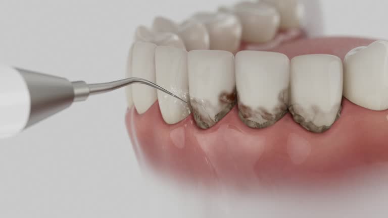 Reliable Dental contractor in Louisville, NE by Dentist Open Now